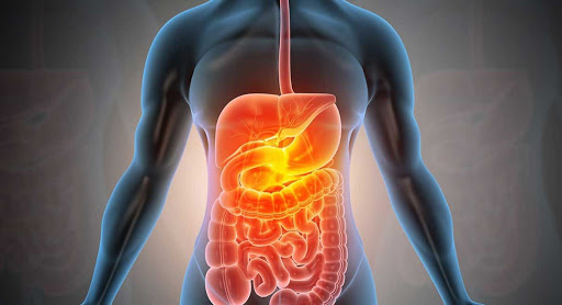 Photo of DIGESTION ET ABSORPTION INTESTINALE :