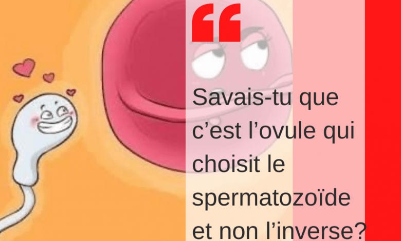 Photo of Savais-tu que c’est l’ovule qui choisit le spermatozoïde et non l’inverse ?