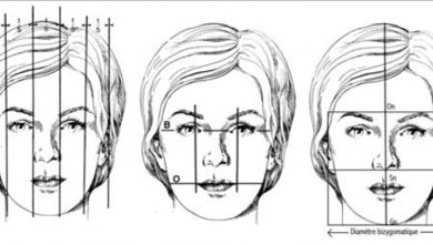 Photo of Les principaux repères et équilibre du visage .