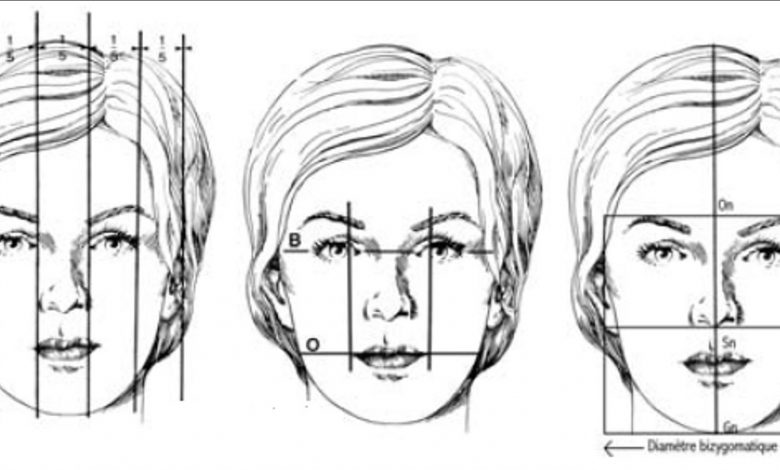 Photo of Les principaux repères et équilibre du visage .