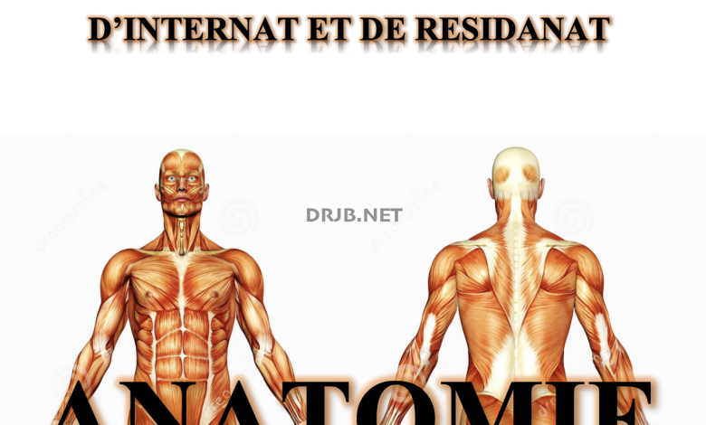 Photo of Programme internat résidanat de Fes pdf « ANATOMIE »